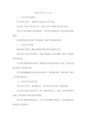 持续月度工作小结.docx