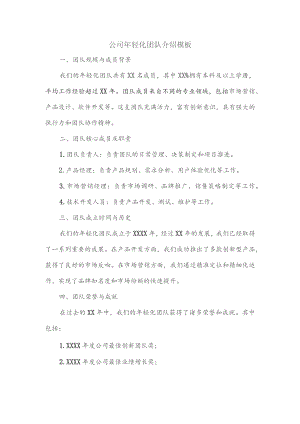 公司年轻化团队介绍模板.docx