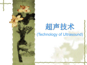 超声技术.ppt.ppt