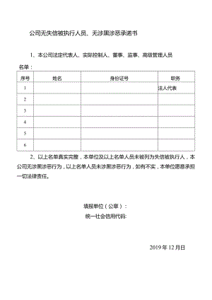 公司无失信被执行人员、无涉黑涉恶承诺书.docx