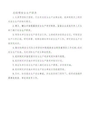 总经理安全生产职责.docx