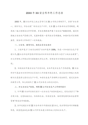 (新XX公司)20XX年度安全生产年终工作总结.docx