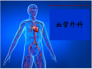 血管穿刺点.ppt