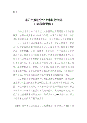 揭阳市推动企业上市扶持措施.docx