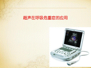 超声在呼吸危重症中的应用.ppt