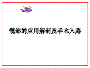 髋部解剖及入路（精品PPT） .ppt