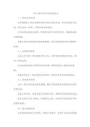 一体化推进的具体措施路径.docx