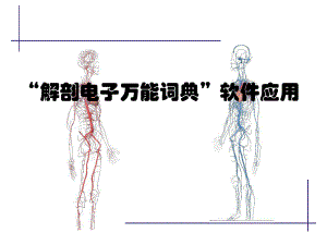 解剖电子字典.ppt