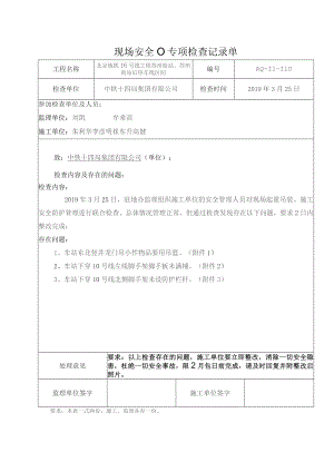 专项检查记录110.docx