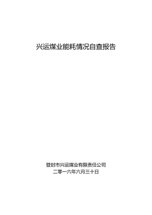 兴运煤业能耗情况自查报告.docx