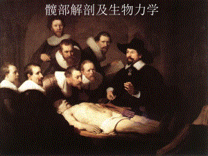 髋部解剖及生物力学.ppt