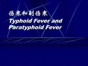 (传染病)伤寒和副伤寒.ppt