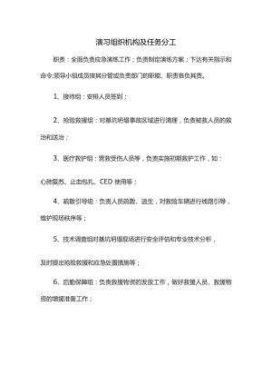 演习组织机构及任务分工.docx