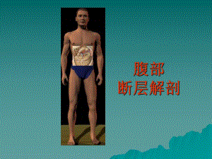 腹部断层.ppt