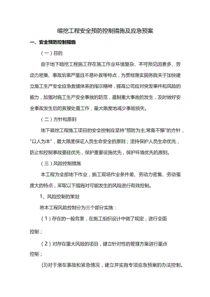 安全控制措施及应急预案.docx