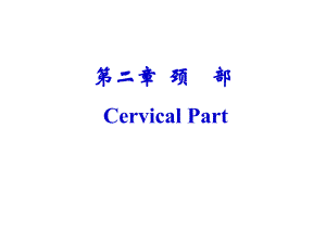 颈部解剖.ppt