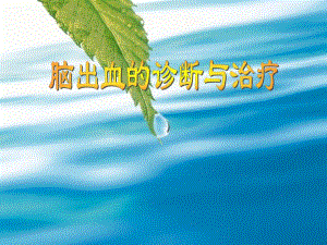 脑出血的诊断和治.ppt