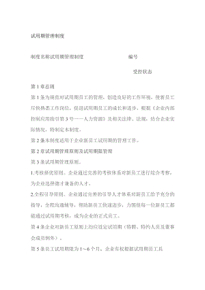 试用期管理制度.docx