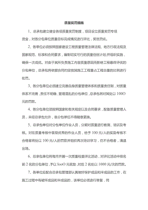 质量奖罚措施.docx