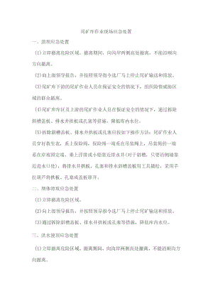 尾矿库作业现场应急处置.docx