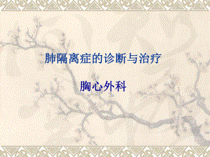 肺隔离症的诊断与治疗.ppt