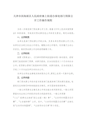 天津市滨海新区人民政府寨上街道办事处部门预算公开工作操作规程.docx