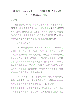 残联党支部2023年关于党建工作“书记项目”完成情况的报告.docx