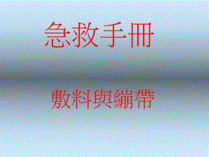 first aid 安全急救手册.ppt