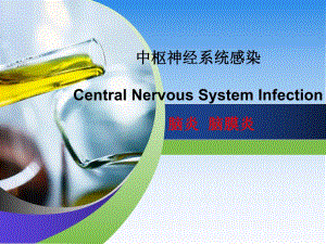 中枢神经系统感染.ppt