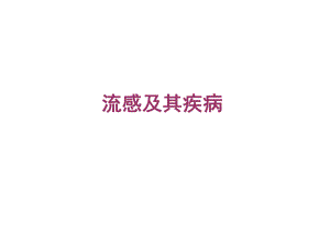 流感及其疾病[精彩].ppt