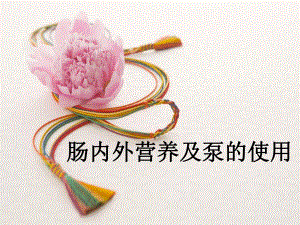 肠内外营养及泵的使用.ppt