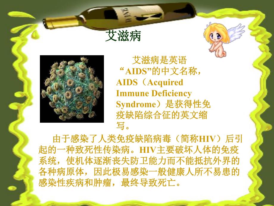 预防艾滋病和禁毒教育PPT.ppt_第2页