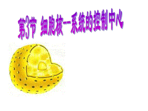 细胞核系统的控制中心.ppt