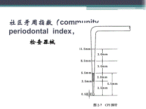 龋病的预防.ppt