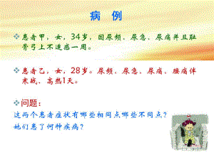 第五节尿路感染.ppt