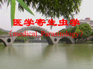 日本血吸虫[指南].ppt