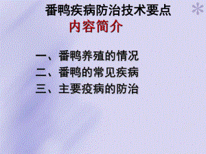 番鸭疾病防治技术要点.ppt