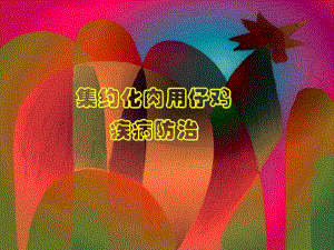 集约化肉用仔鸡疾病防治.ppt