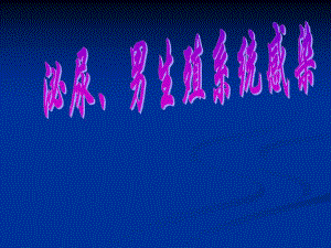 泌尿男生殖系感染.ppt