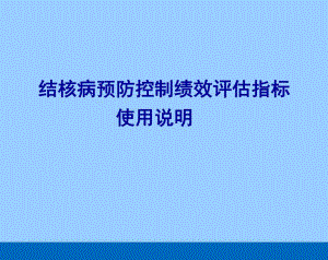 结核病预防控制绩效评估指标使用说明.ppt