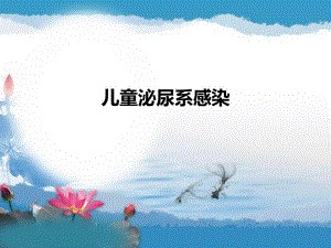 泌尿系感染.ppt