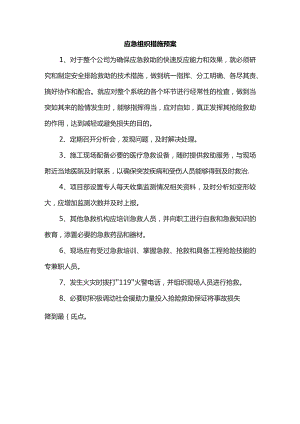 应急组织措施预案.docx