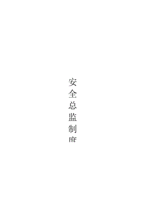 公司安全总监制度范文.docx