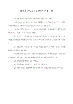 其他岗位从业人员安全生产责任制.docx