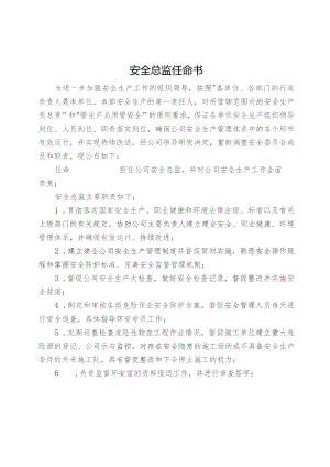 公司安全总监任命书范文.docx