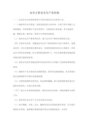 安全主管安全生产责任制.docx