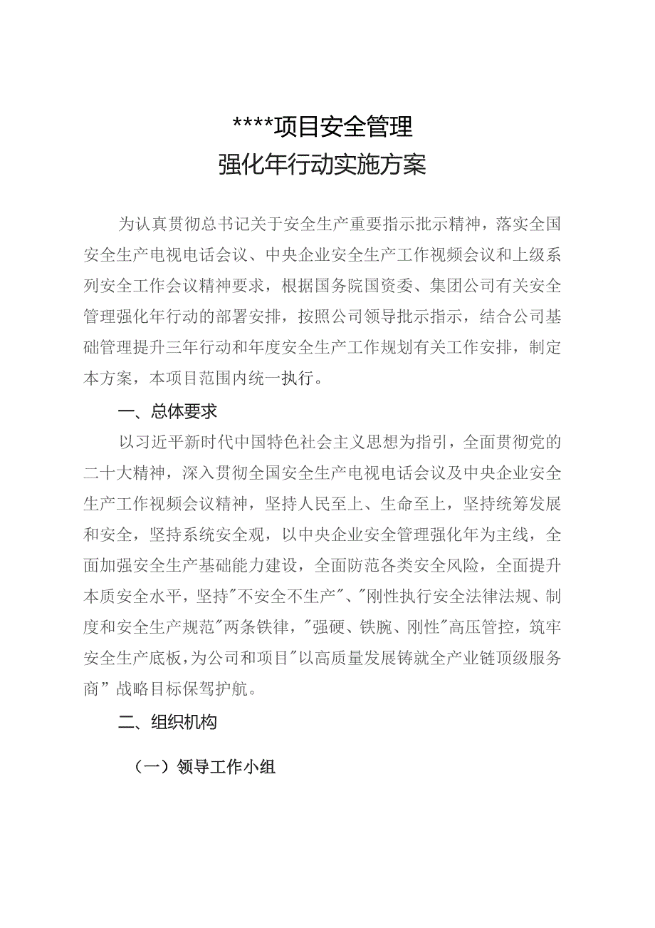 安全管理强化年行动实施方案.docx_第2页
