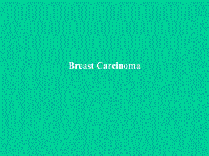 乳腺癌 武汉协和医院 讲课ppt 全英文.ppt