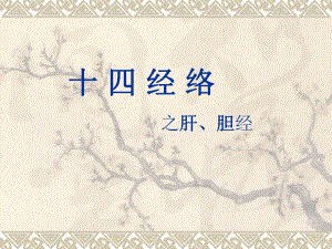 十四经络之肝胆经.ppt