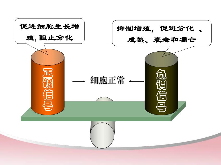 第十一章癌基因与抑癌基因.ppt.ppt_第3页